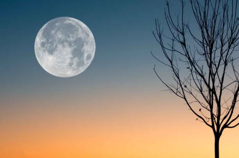 La pleine lune en gémeaux 8 décembre 2022